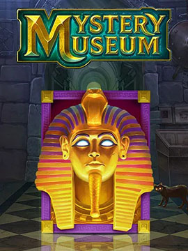 Mystery Museum